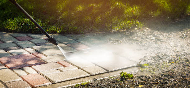 Best Sidewalk and Walkway Cleaning  in Lomira, WI